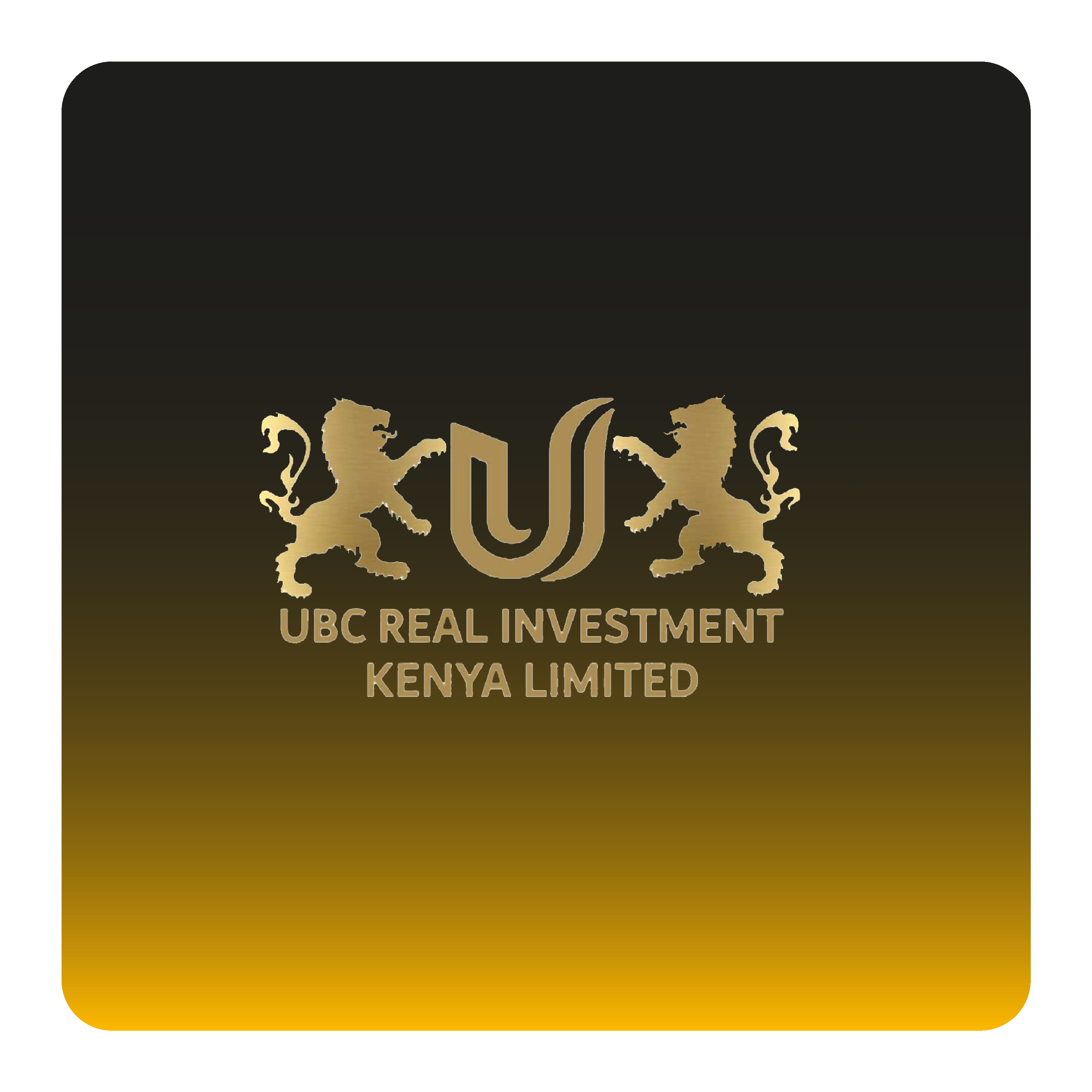 basel alabisi باسل العبيسي-08