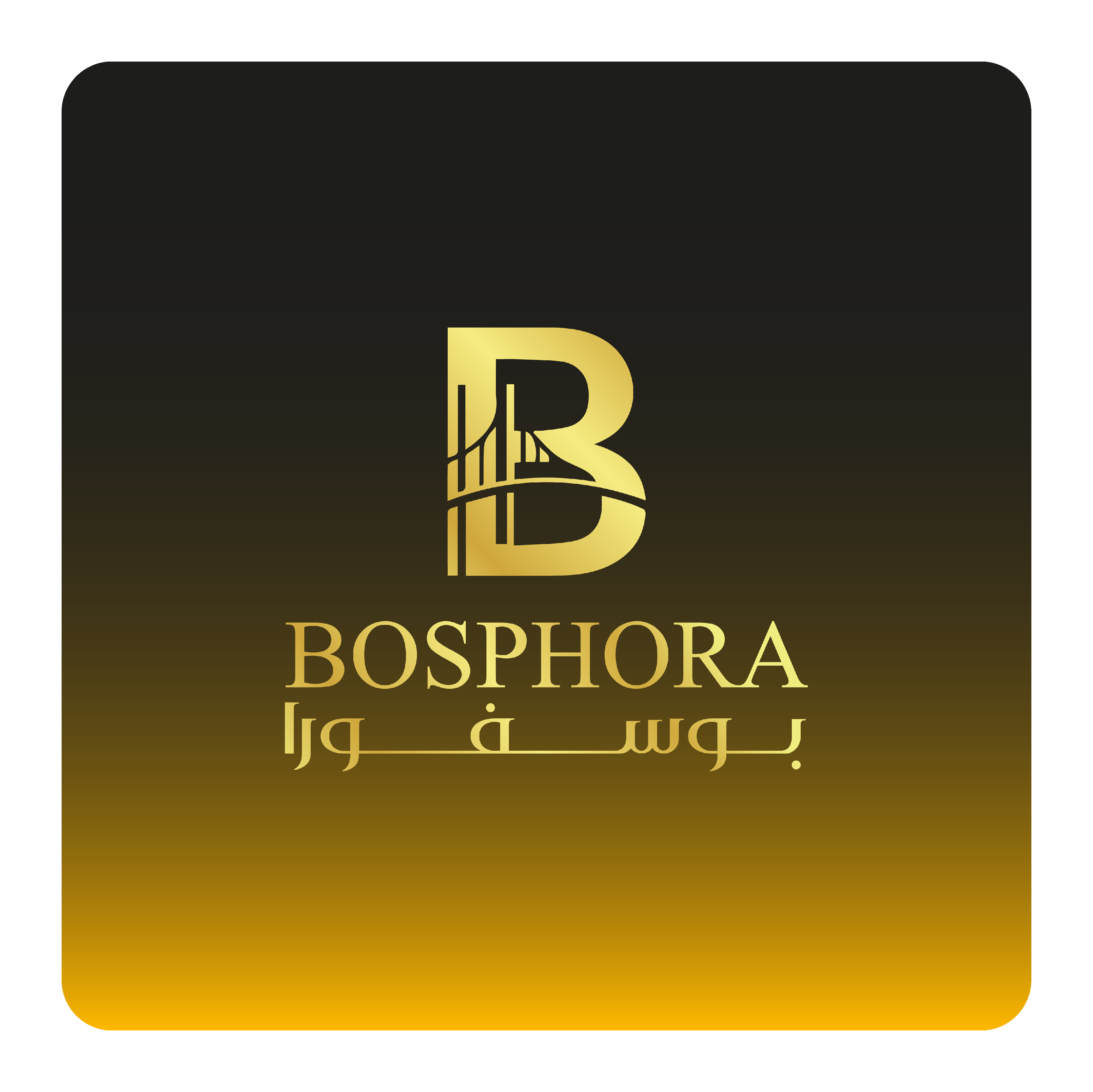 basel alabisi باسل العبيسي-13