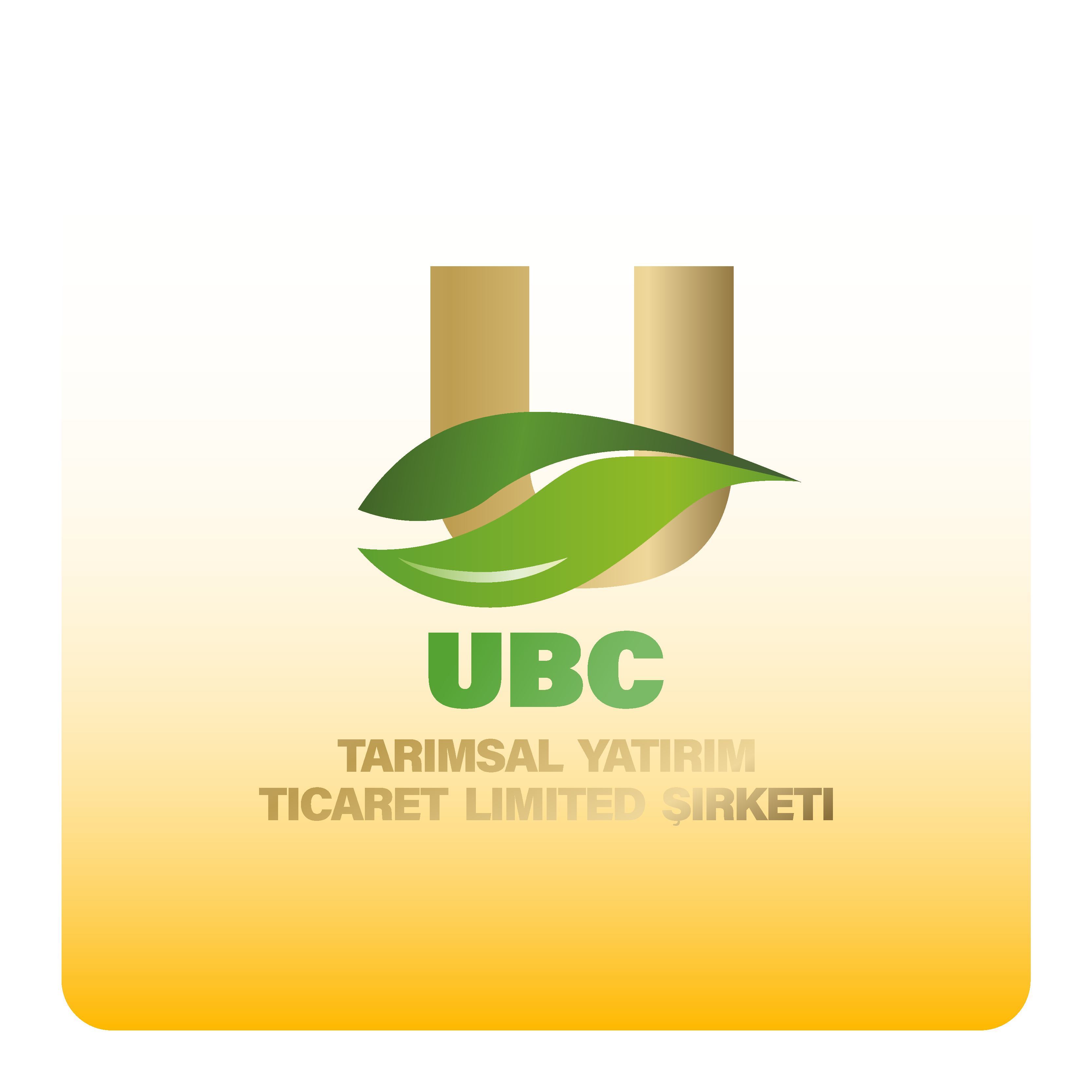 basel alabisi باسل العبيسي-19